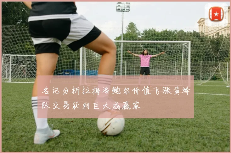 名记分析拉梅洛鲍尔价值飞涨黄蜂队交易获利巨大成赢家