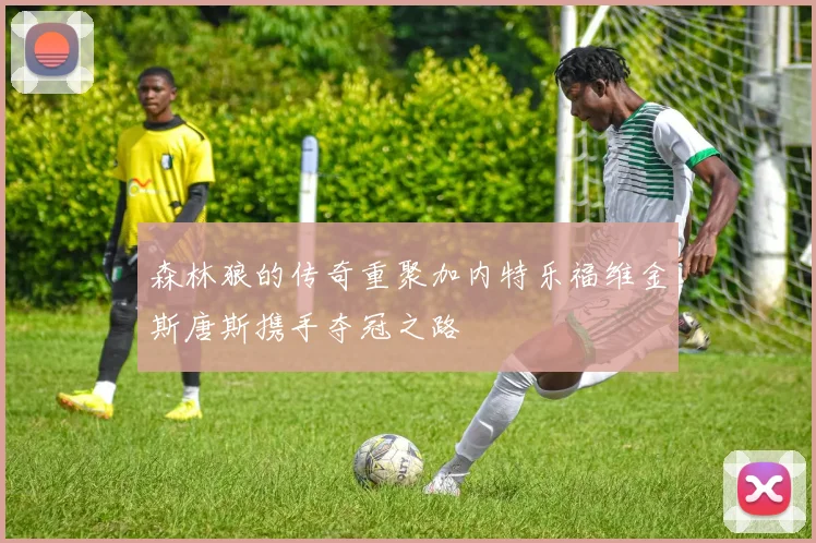 森林狼的传奇重聚加内特乐福维金斯唐斯携手夺冠之路